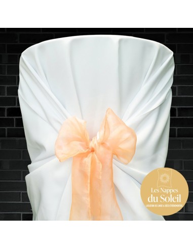 Location nœud organza – plusieurs coloris disponibles