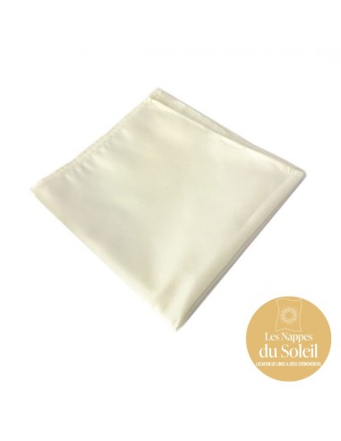 Location serviettes polyester – plusieurs coloris disponibles